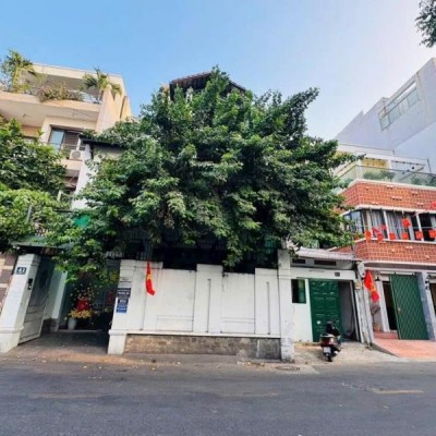 Bán nhà mặt tiền đường Trần Khánh Dư diện tích: 8,5x18m 3 tầng