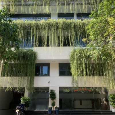 Cho thuê toà nhà quận Bình Thạnh, toà nhà đường Đặng Thùy Trâm