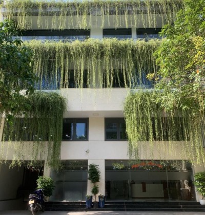 Cho thuê toà nhà quận Bình Thạnh, toà nhà đường Đặng Thùy Trâm