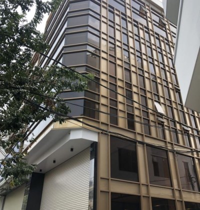 Cho thuê toà nhà 2 mặt tiền đường võ oanh bình thạnh