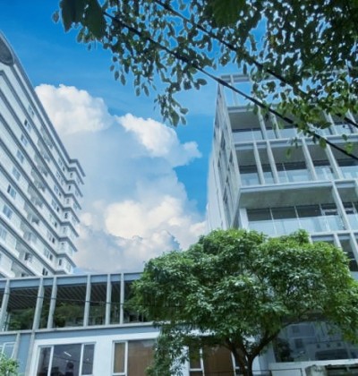 Cho thuê nhà nguyên căn mặt tiền đường Nguyên Hồng