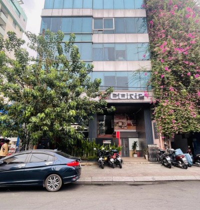 Cho thuê tòa nhà đường Trần Nhật Duật